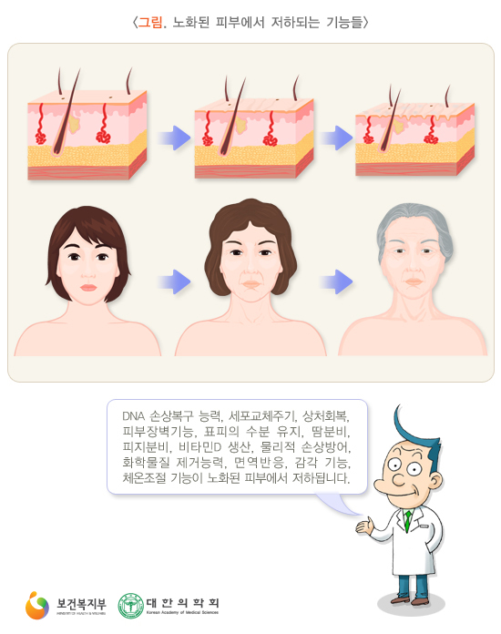 피부노화의 정의 : 네이버 블로그