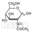 N-아세틸글루코사민