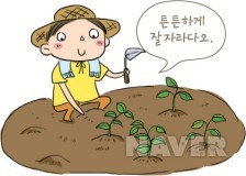 친환경 농업 본문 이미지 1