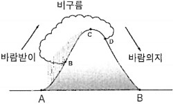 푄 현상