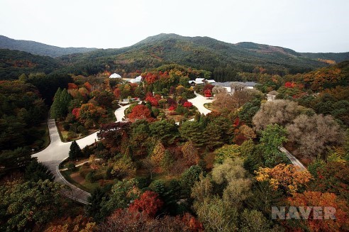 국립수목원 이미지