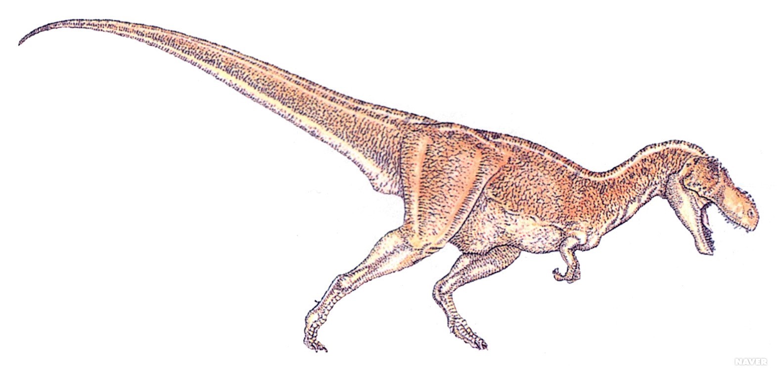 육식공룡 티라노사우루스