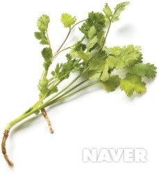일산떡방앗간 이미지