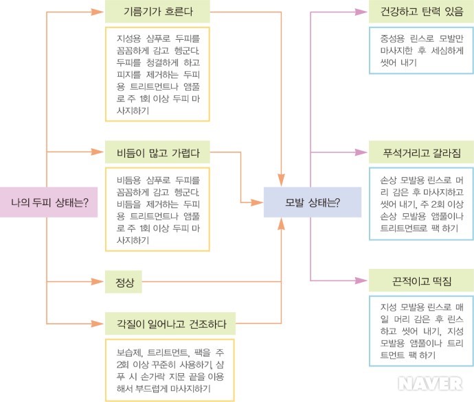두피와 모발 관리 본문 이미지 1