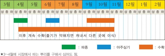 대농그린 이미지