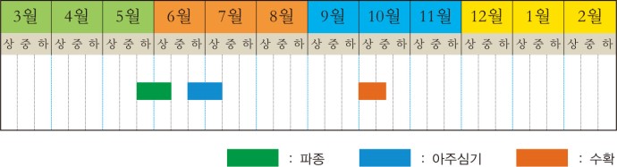 들깨 본문 이미지 1