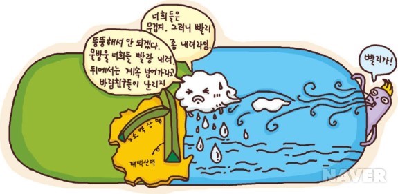 사과 본문 이미지 9