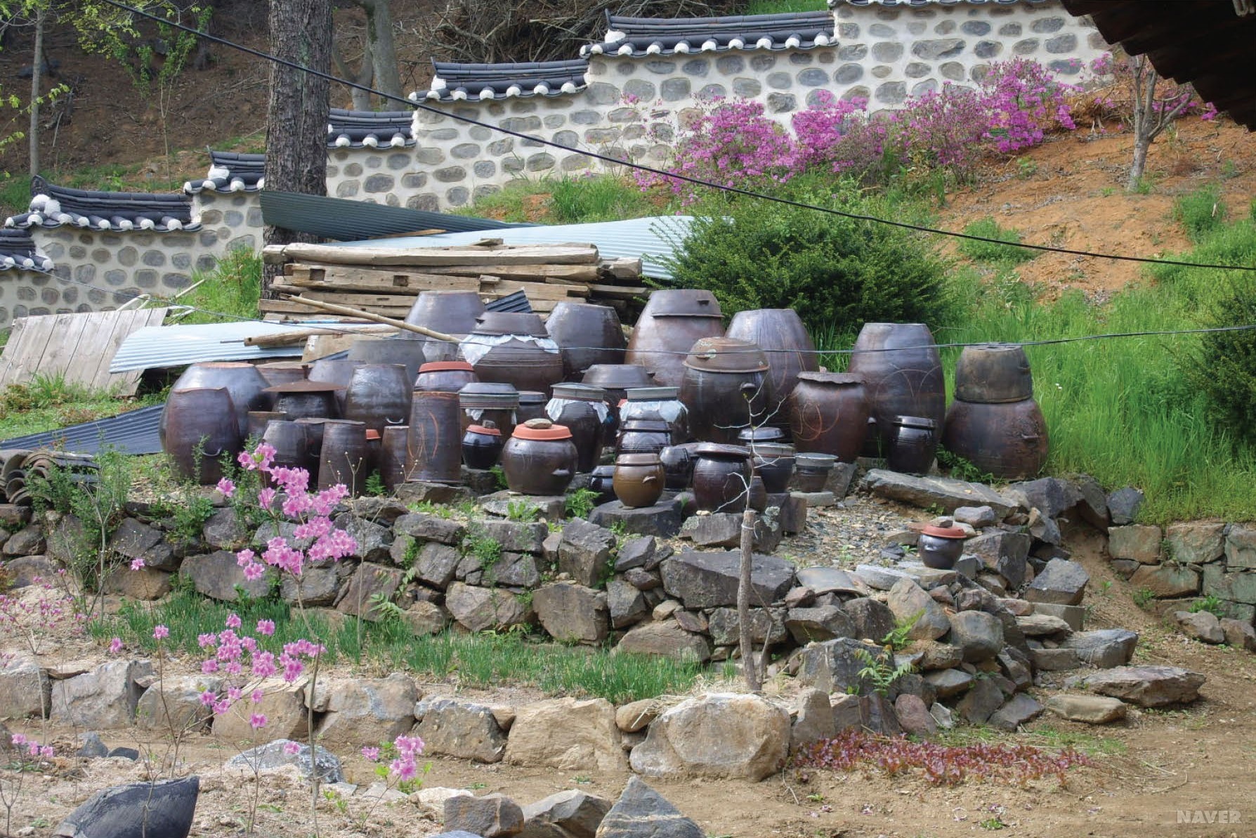 홍성 조응식가옥 - 돌 축대 위에 가지런하게 놓인 장독대