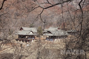 금광사 이미지