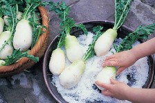 동치미 본문 이미지 4