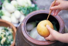 동치미 본문 이미지 9