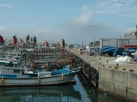 제주 한림항