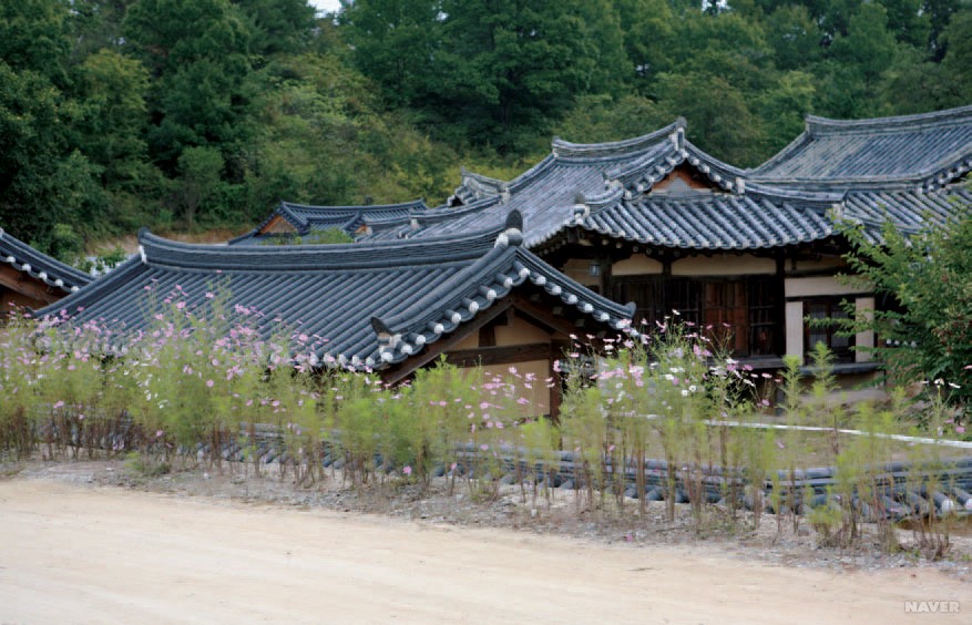 강가에서 살 만한 곳 - 낙동강 무섬마을