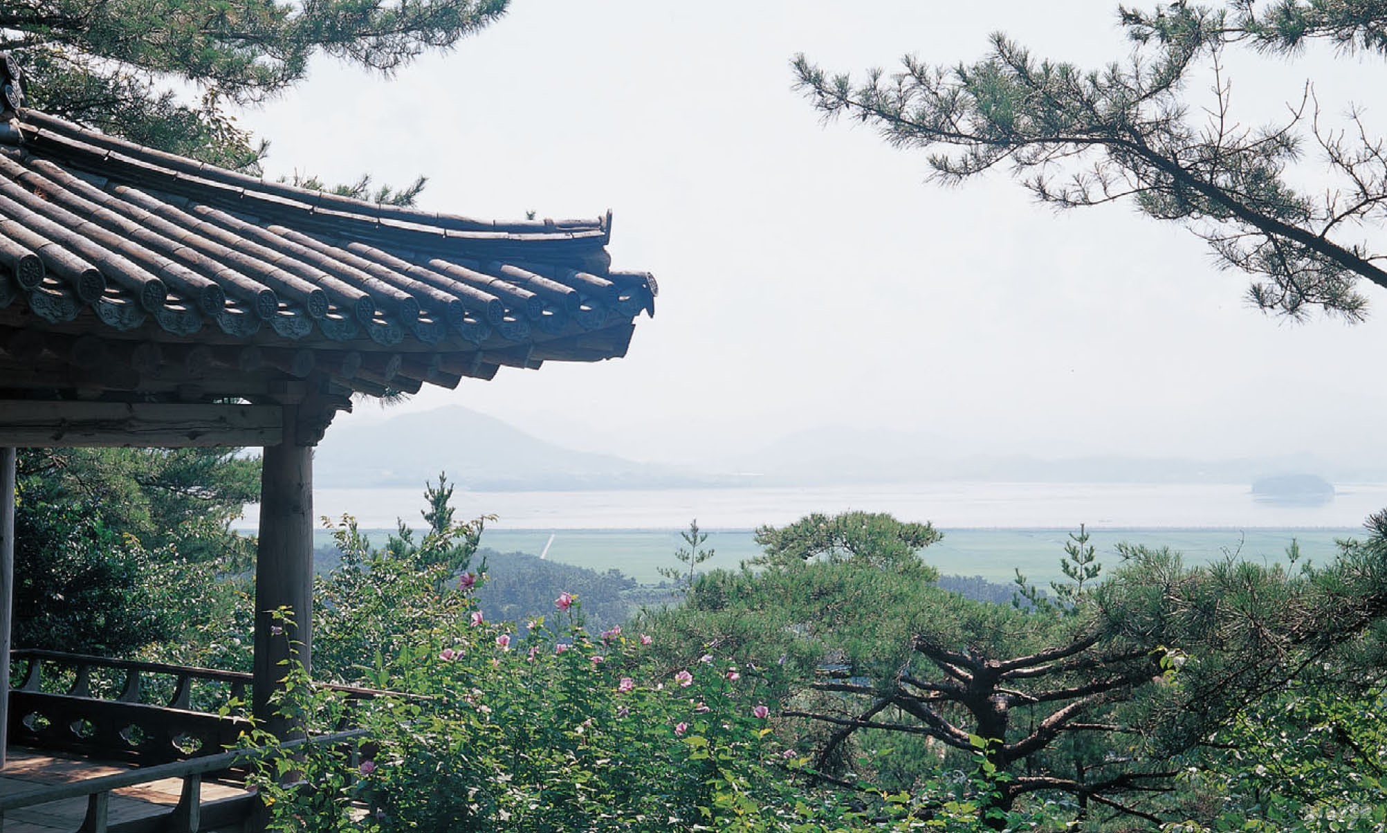 다산초당 - 다산초당 천일각에서 바라본 강진만