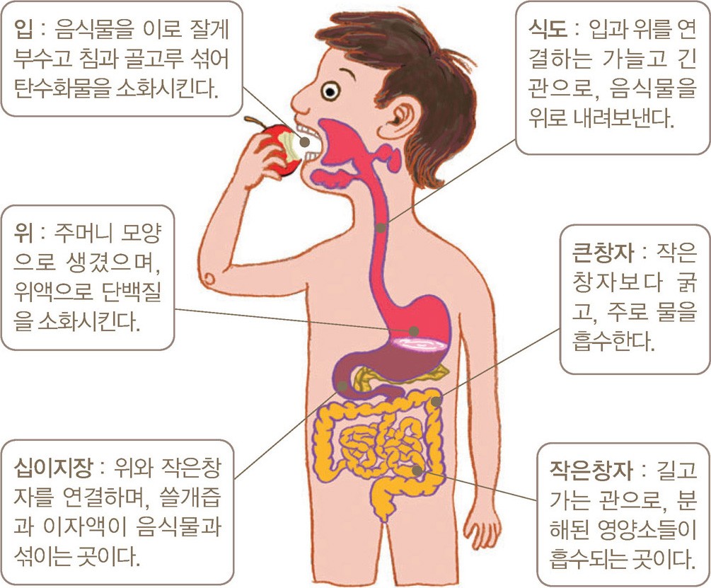 소화갤러리 이미지