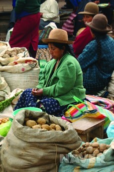 안데스(Andes) 이미지