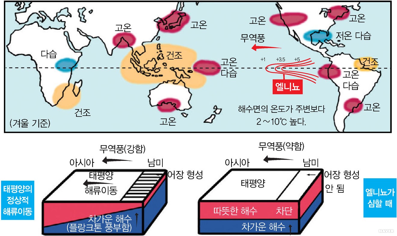 과학돋보기 - 바닷물 온도의 변화 - 엘니뇨, 라니냐 - 엘니뇨의 발생