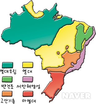 브라질 본문 이미지 1