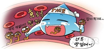 바이러스 예방 본문 이미지 6