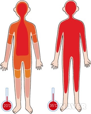 기온에 따른 혈액 분포
