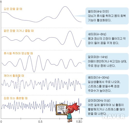 뇌파의 종류
