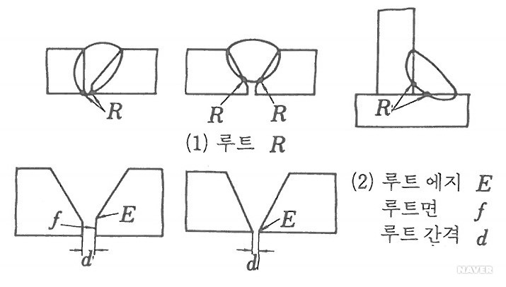 루트