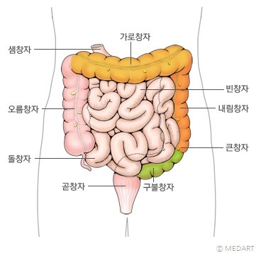 뉴데이라이프 이미지