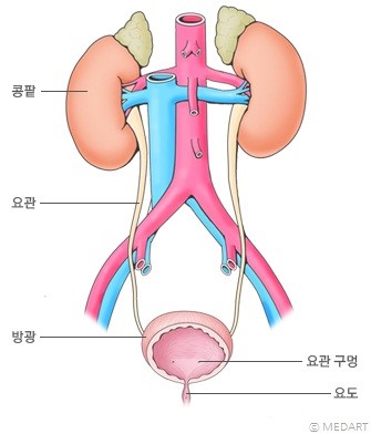 락스포츠 이미지