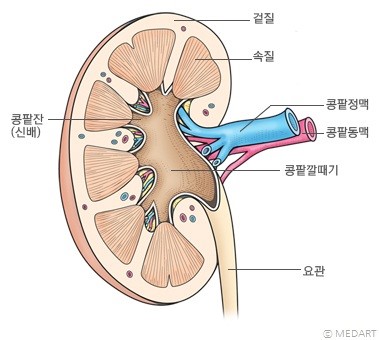 락스포츠 이미지