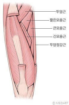 플랫폼필라테스 이미지