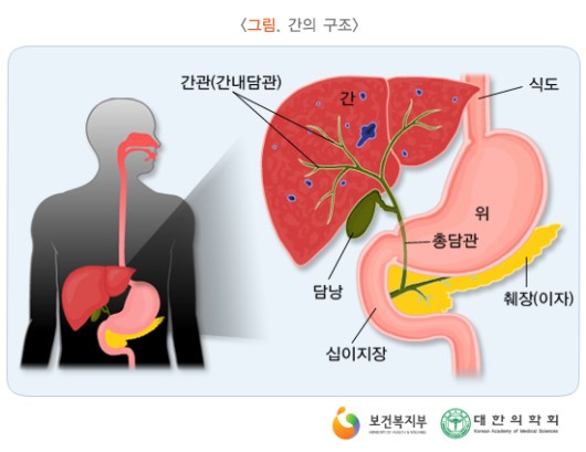 한국효요양병원 이미지