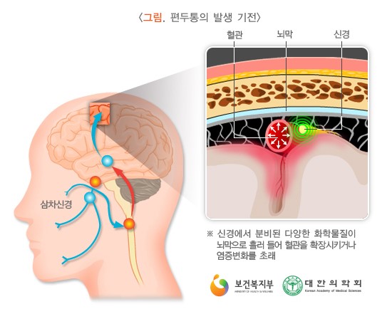 타워짐피트니스헬스 이미지
