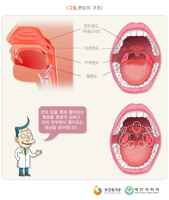 타워짐피트니스헬스 이미지