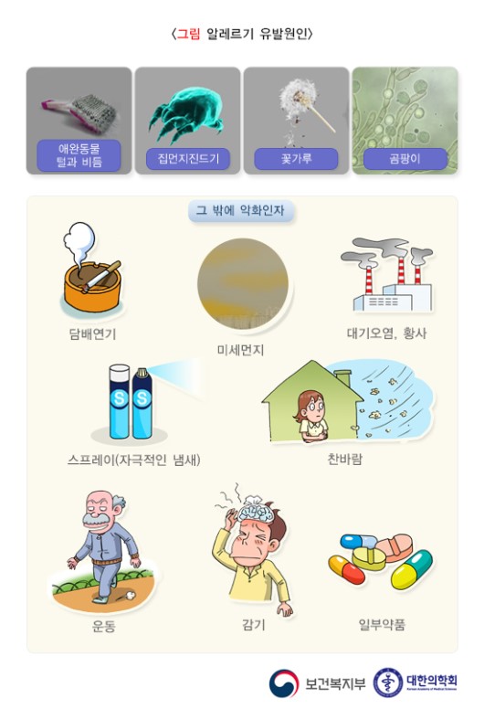 알레르기 유발원인