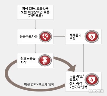단순화된 성인 기본소생술 알고리즘