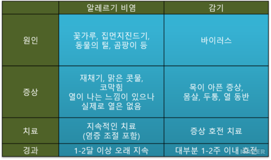 비염과 감기의 감별