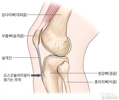 규 이미지