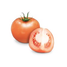 토마토 (7~9월)