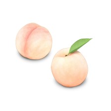 복숭아 (7~8월)