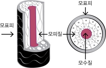 이트헤어 이미지