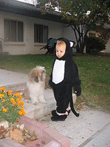 Cat Meets Dog