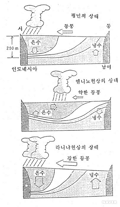 엘니뇨와 라니냐 - 그림 2. 엘니뇨와 라니냐 현상의 발생 구조