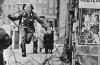 베를린을 동서로 나누는 철조망이 설치된 지 얼마 지나지 않은 1961년 동독 장교 콘라트 슈만(Conrad Schumann)이 서베를린으로 탈출하고 있다.