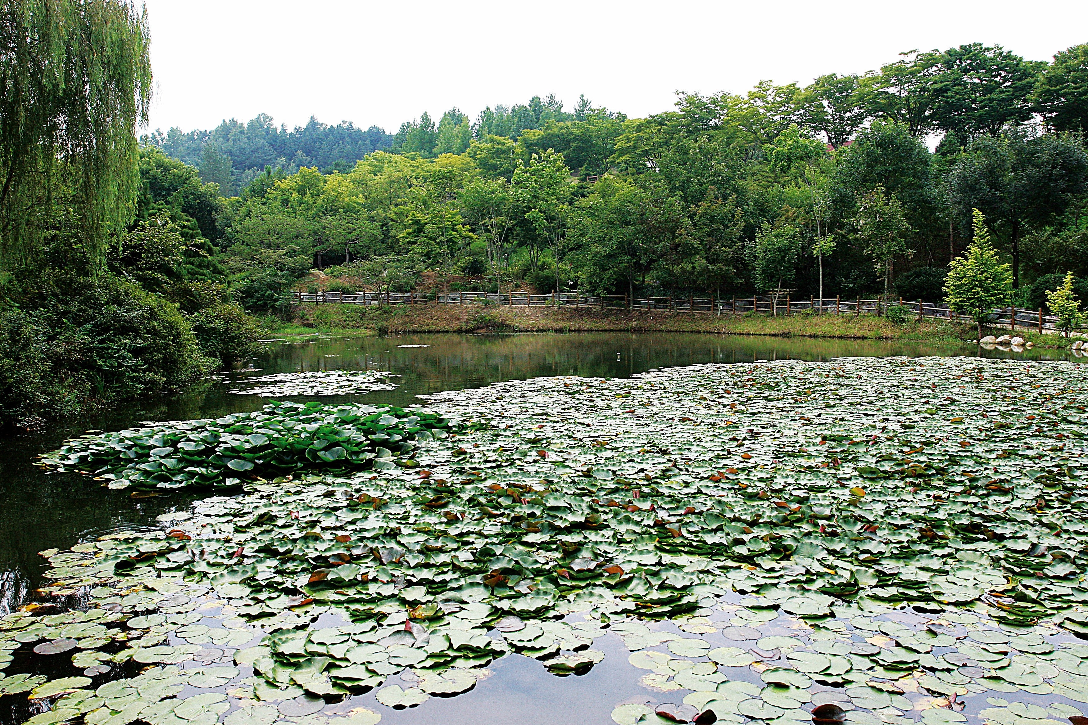 경상남도수목원