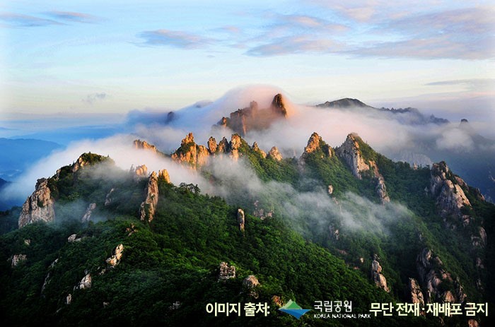자연공원