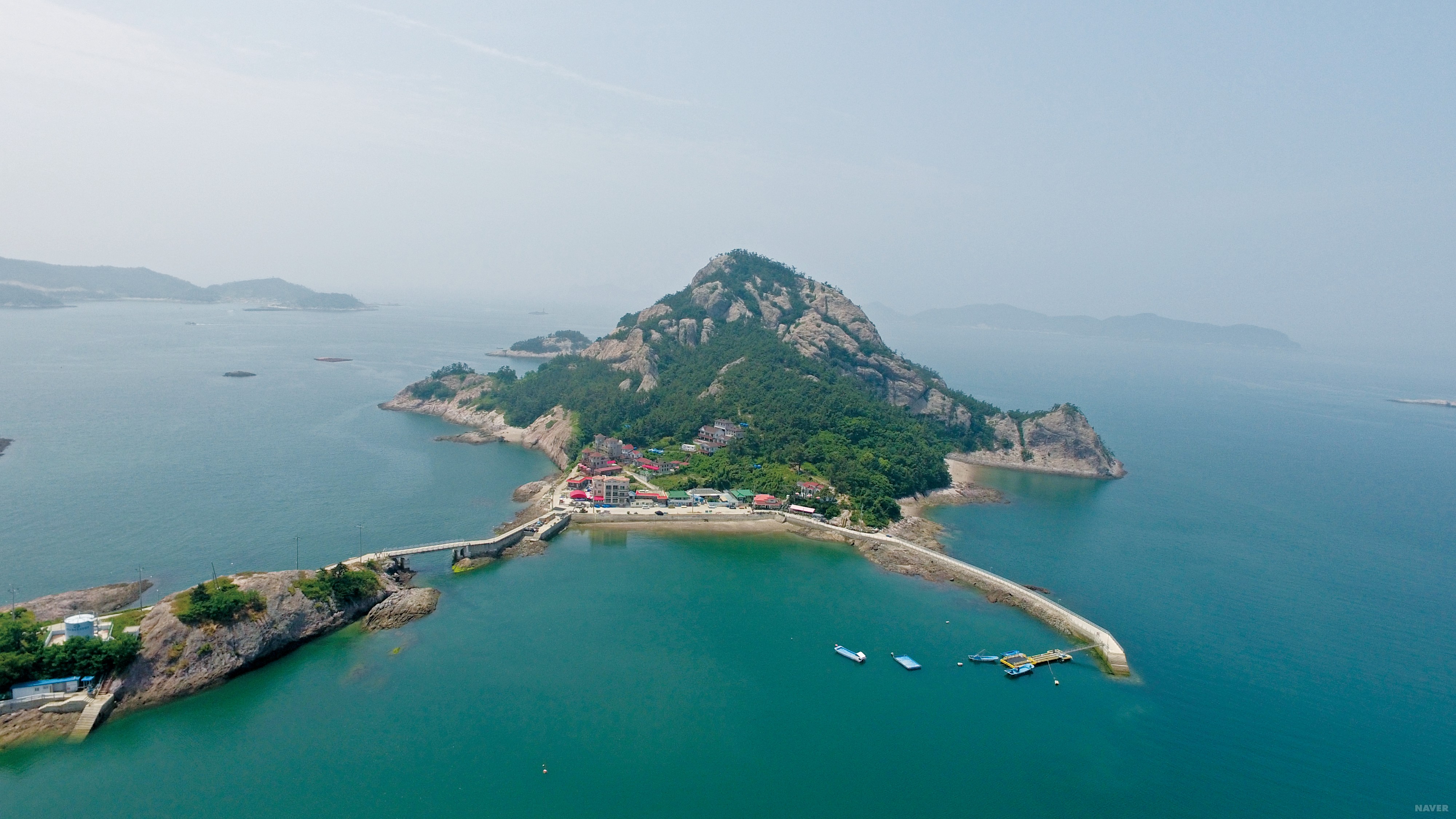 대장도