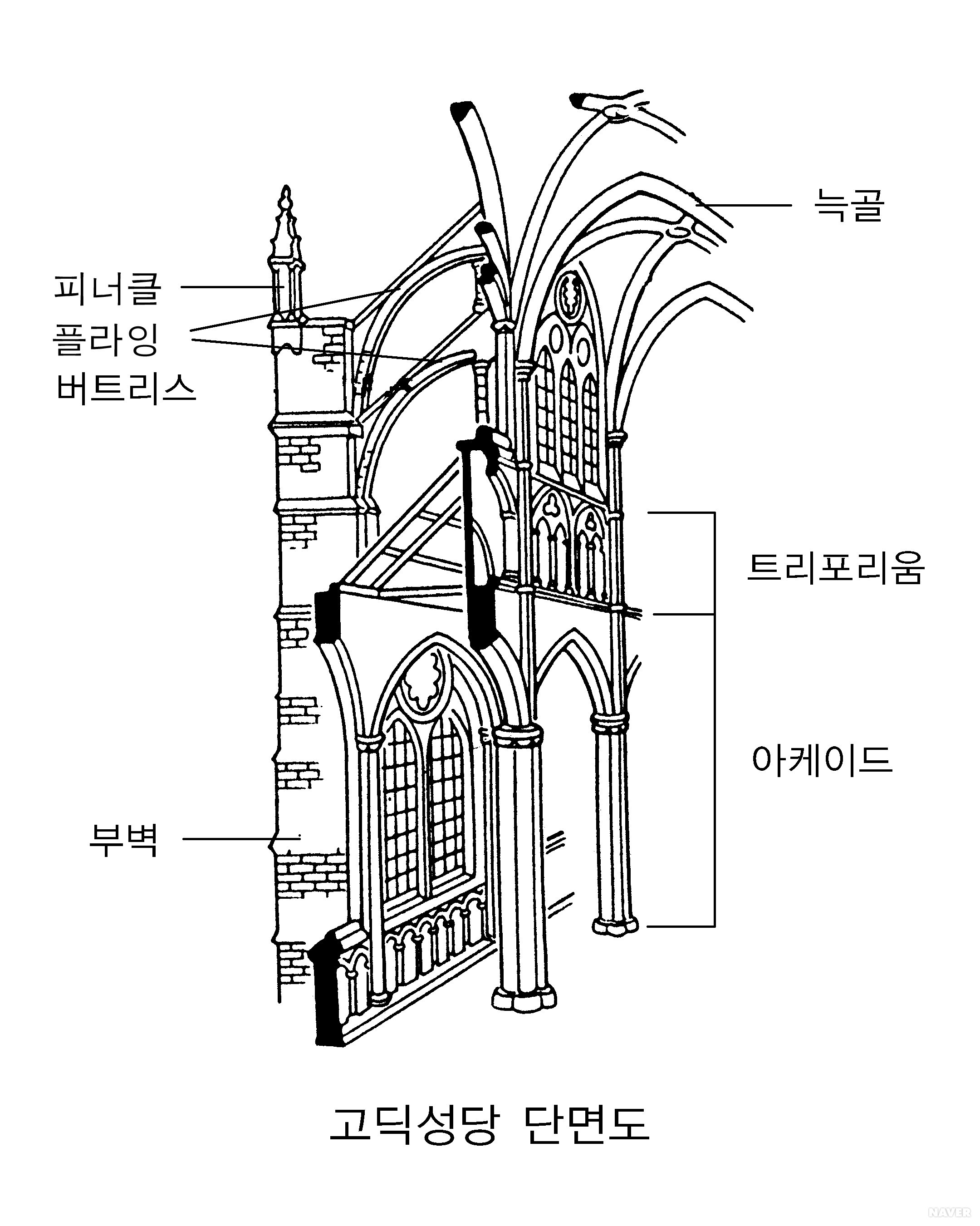 플라잉 버트리스