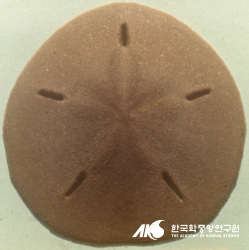 구멍연잎성게