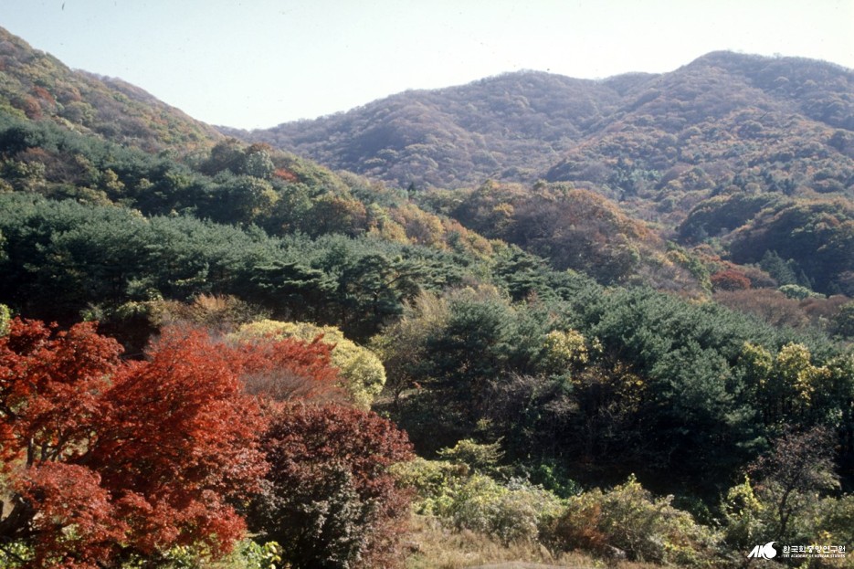 문수산