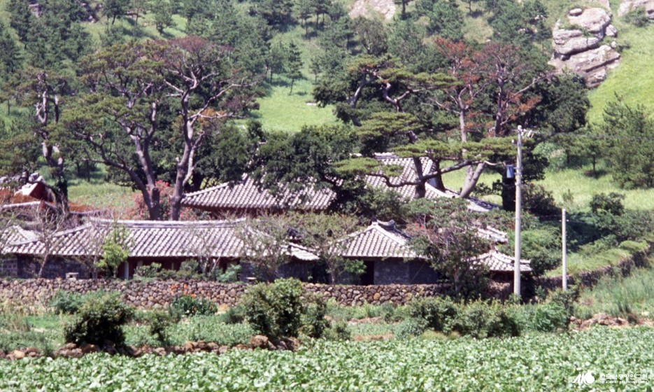 대정향교